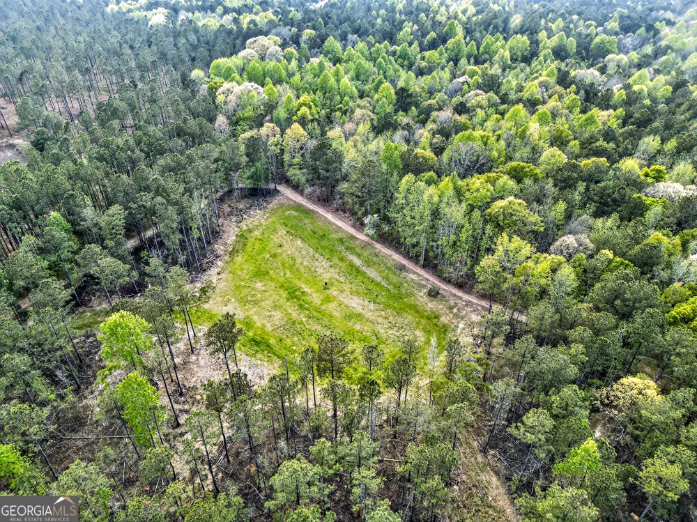 669 Pecan Grove RD Washington, GA 30673
