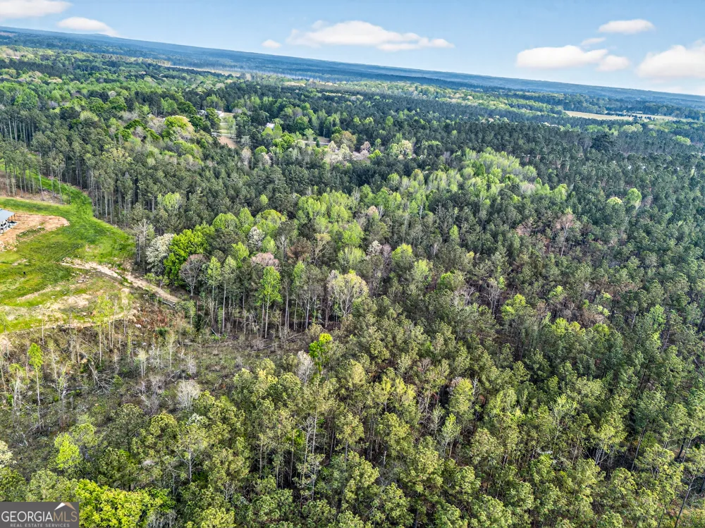 669 Pecan Grove RD Washington, GA 30673