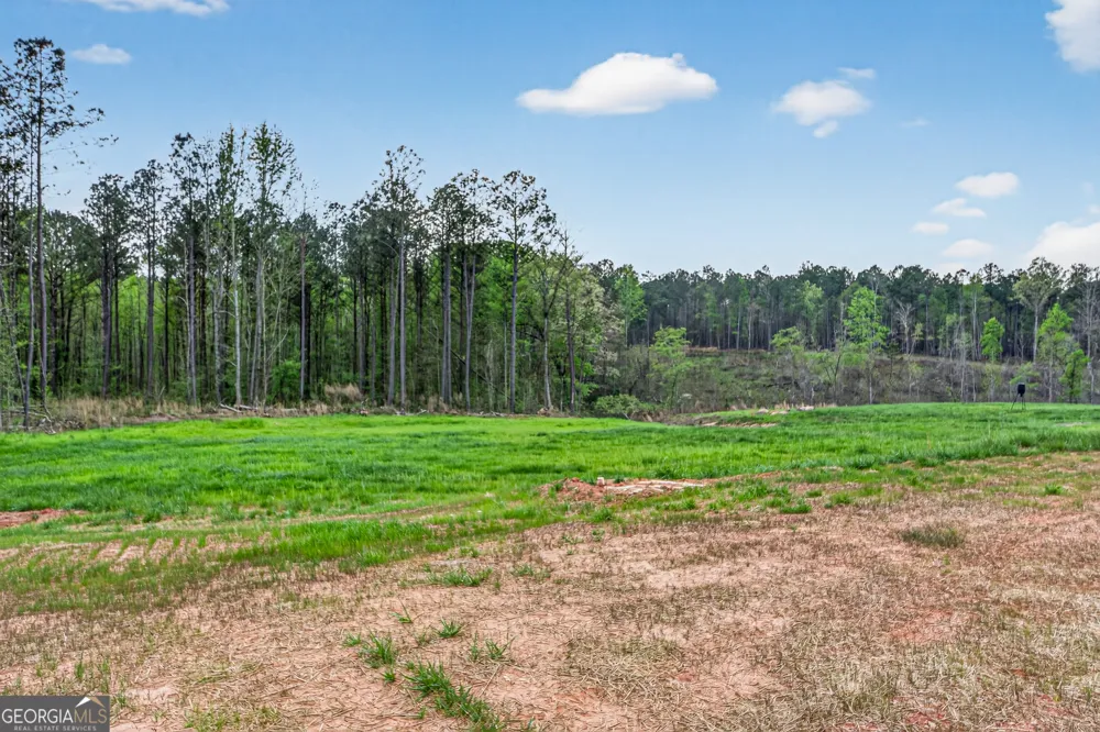 669 Pecan Grove RD Washington, GA 30673