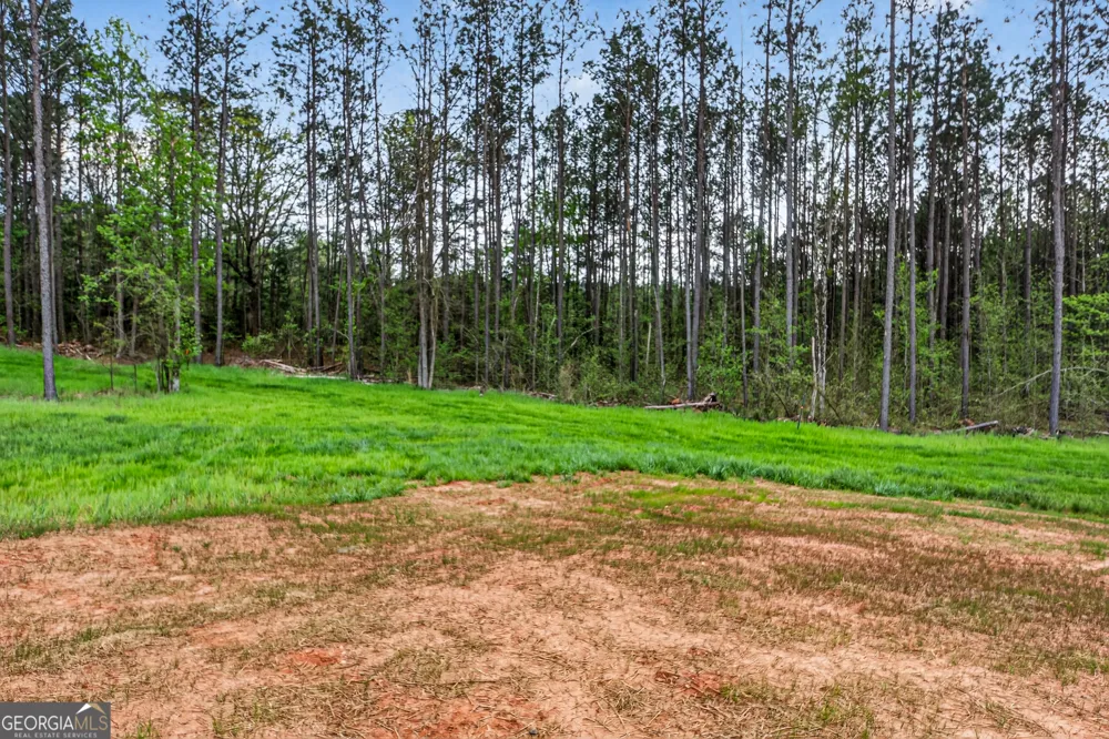 669 Pecan Grove RD Washington, GA 30673