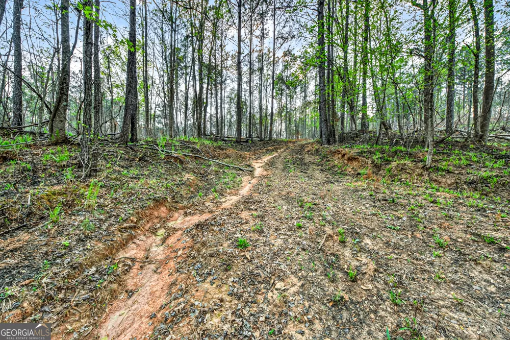669 Pecan Grove RD Washington, GA 30673