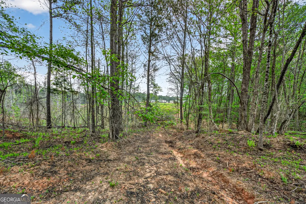 669 Pecan Grove RD Washington, GA 30673