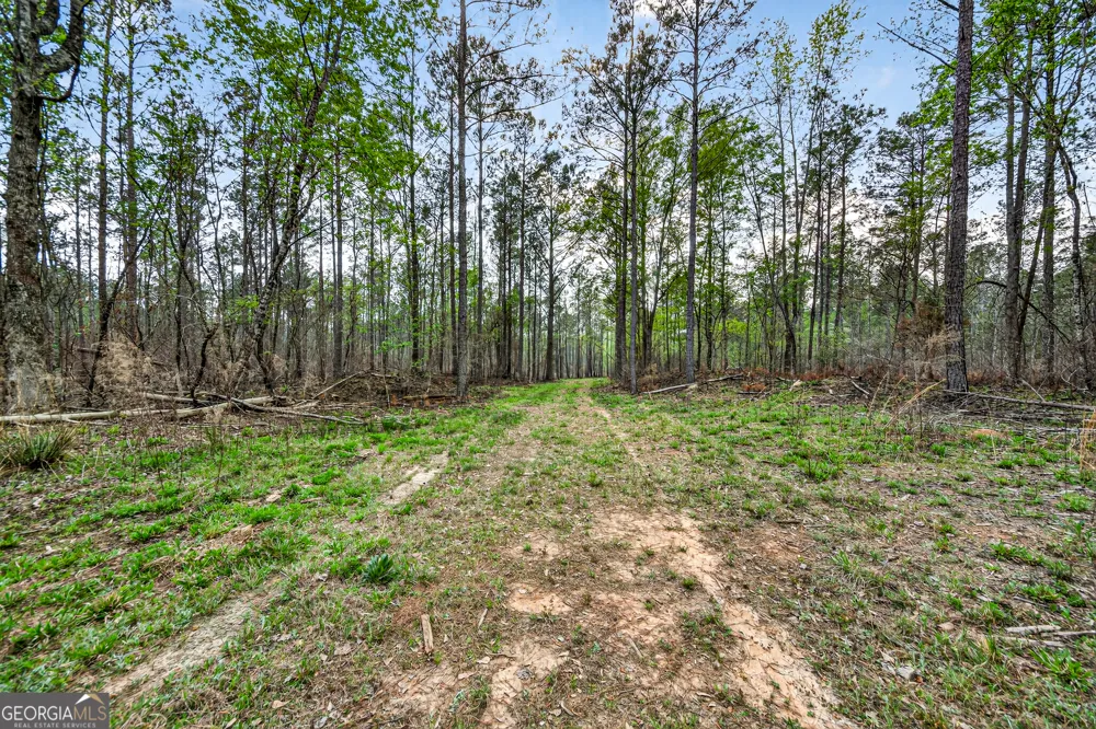 669 Pecan Grove RD Washington, GA 30673