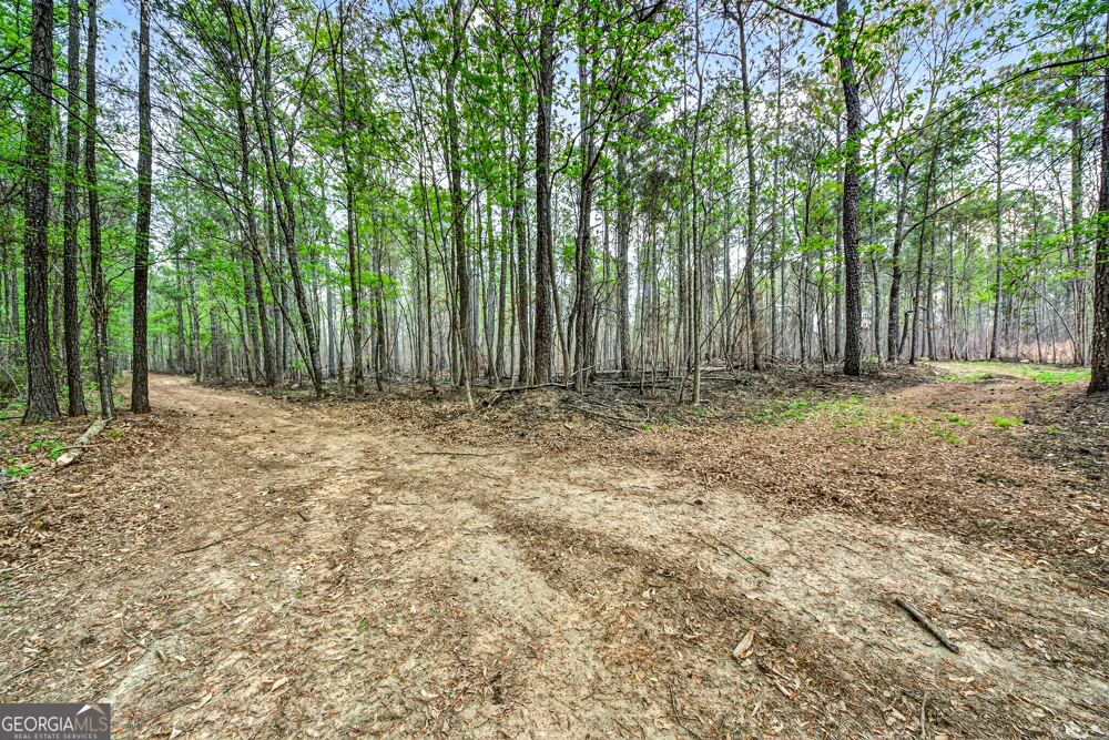 669 Pecan Grove RD Washington, GA 30673