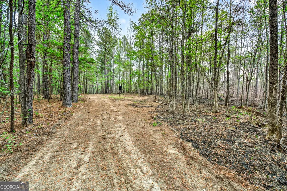 669 Pecan Grove RD Washington, GA 30673