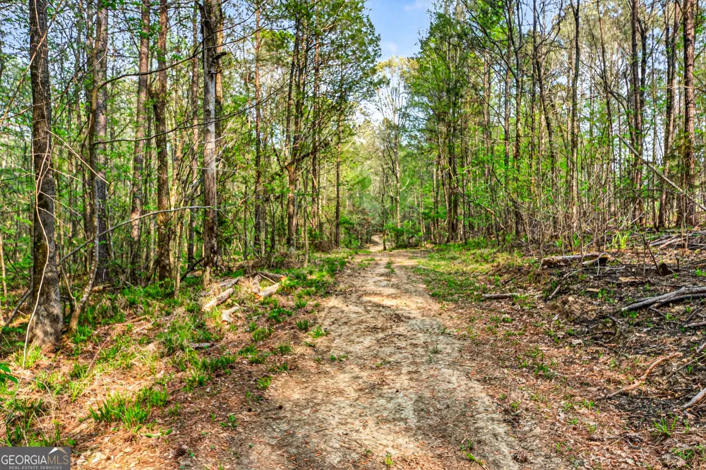 669 Pecan Grove RD Washington, GA 30673