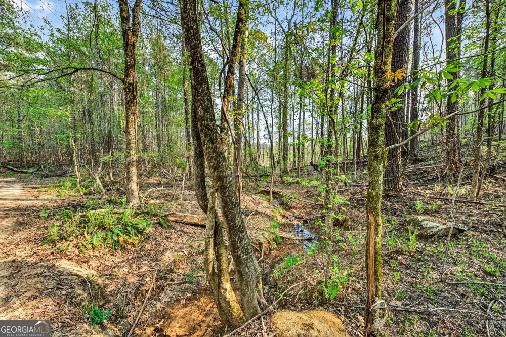 669 Pecan Grove RD Washington, GA 30673