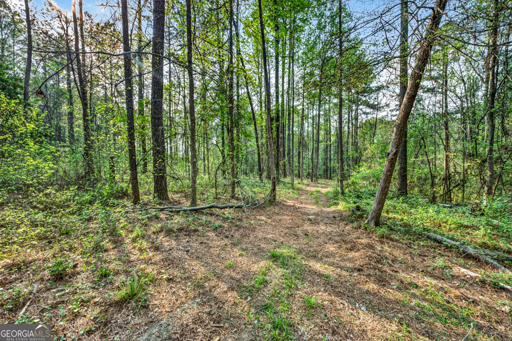 669 Pecan Grove RD Washington, GA 30673