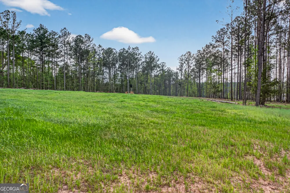 669 Pecan Grove RD Washington, GA 30673