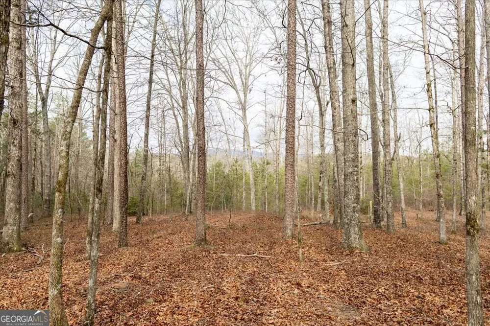 0 Reagan RD Dawsonville, GA 30534