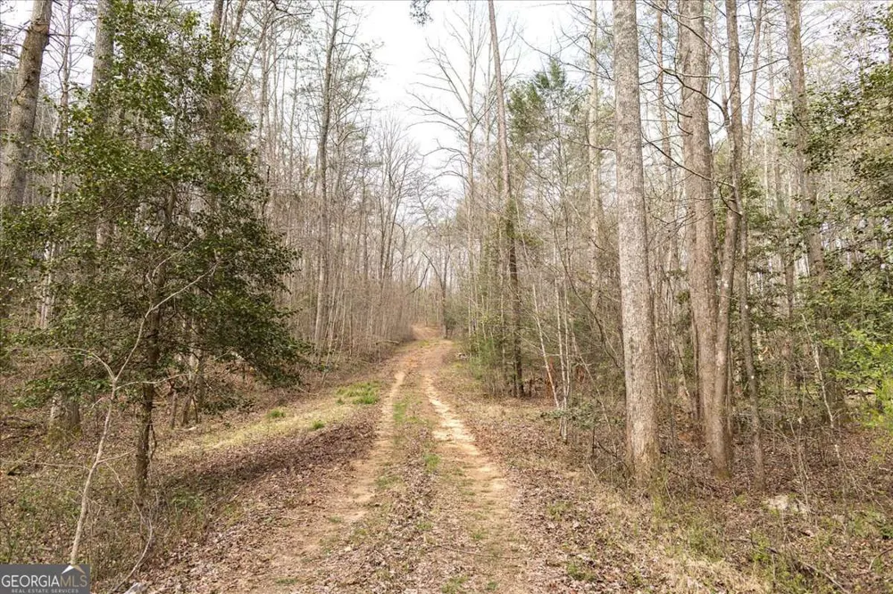 0 Reagan RD Dawsonville, GA 30534