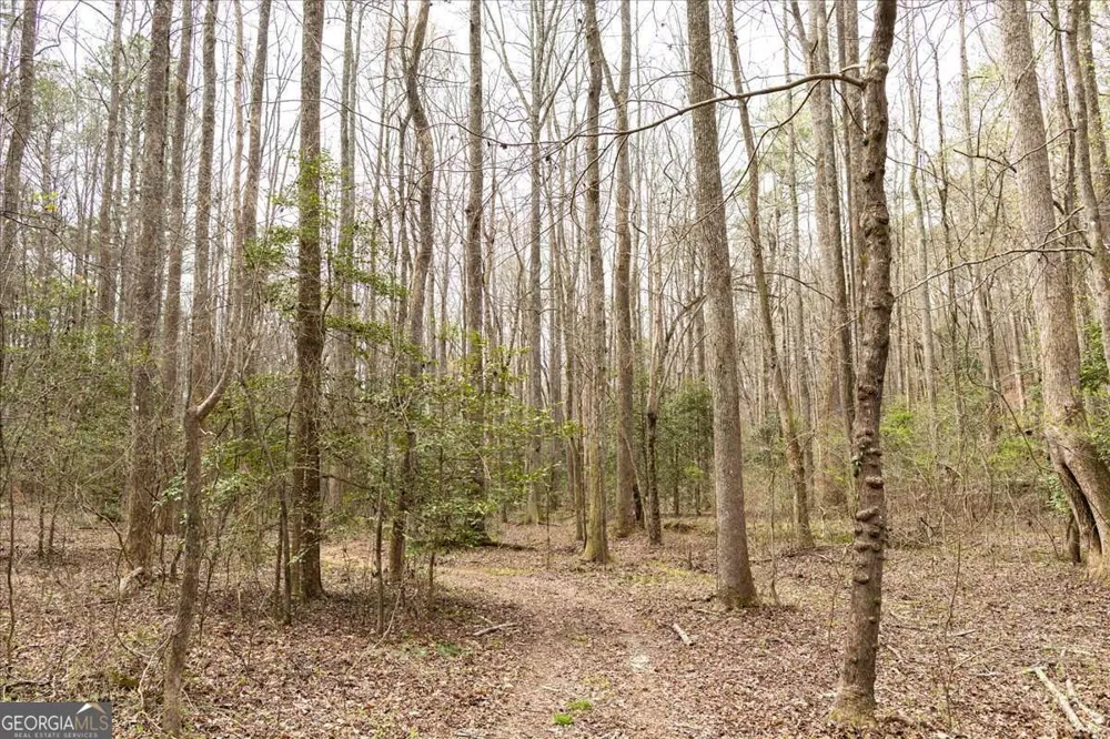 0 Reagan RD Dawsonville, GA 30534
