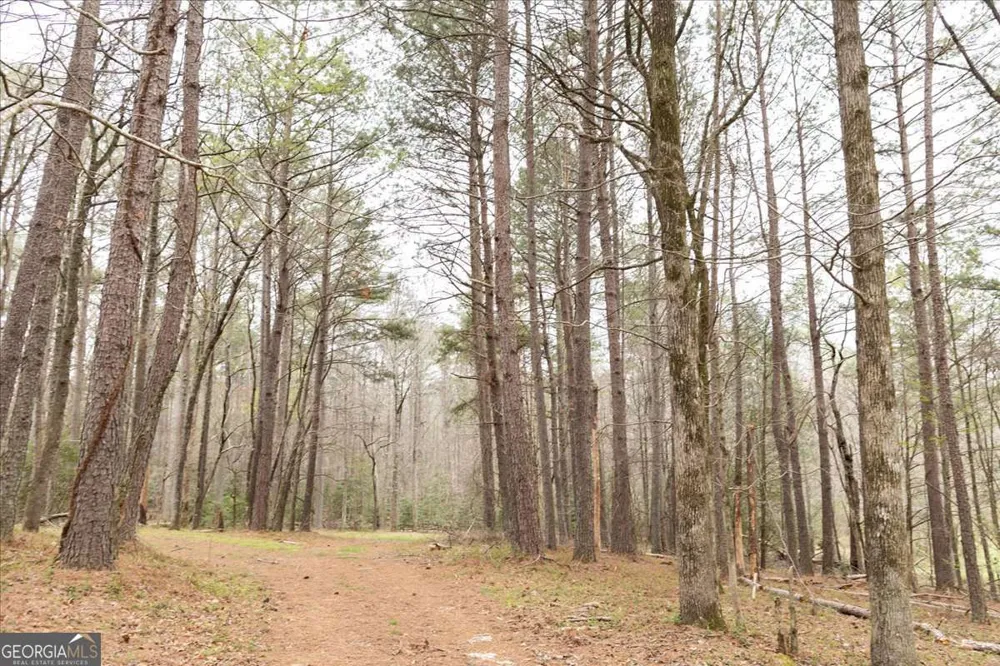 0 Reagan RD Dawsonville, GA 30534