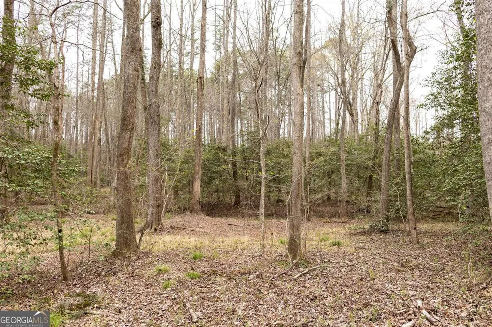 0 Reagan RD Dawsonville, GA 30534