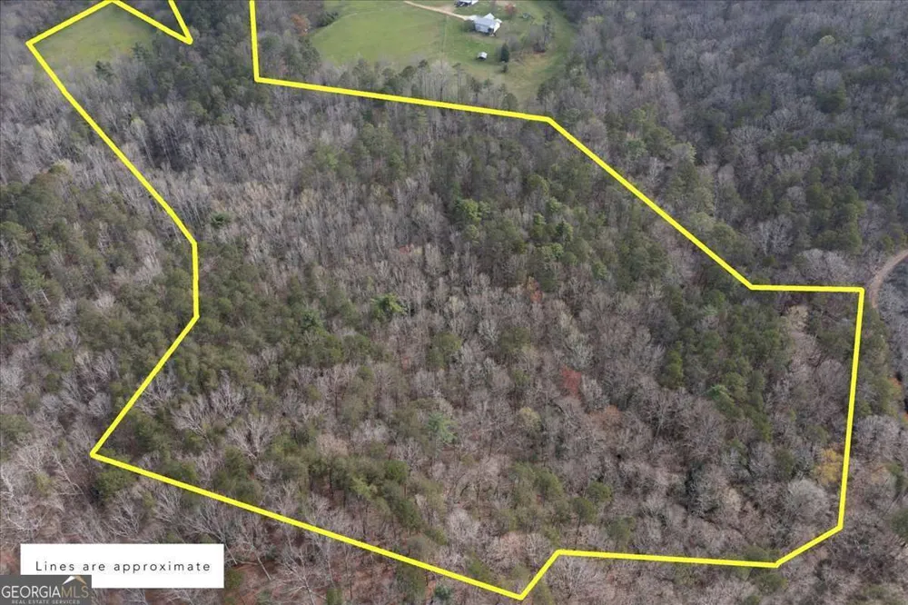 0 Reagan RD Dawsonville, GA 30534
