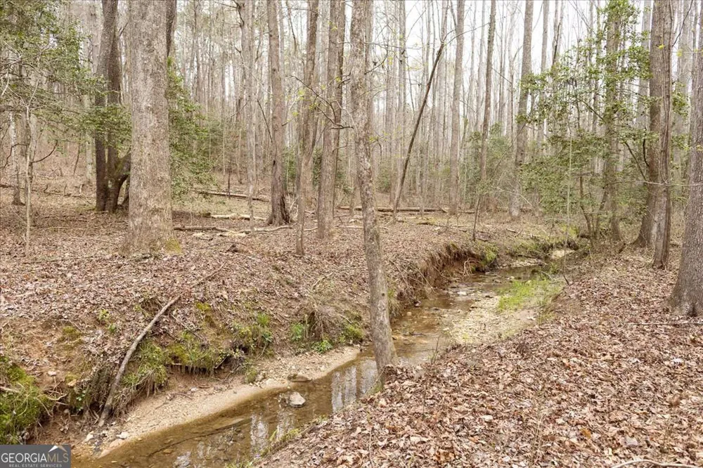 0 Reagan RD Dawsonville, GA 30534