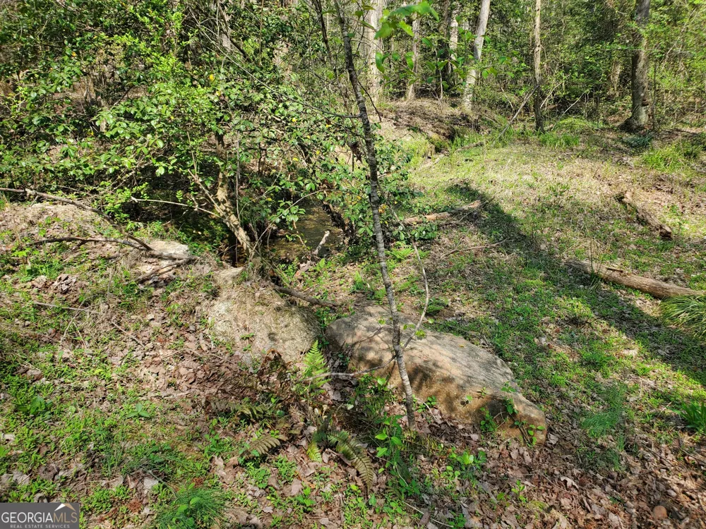 0 Reagan RD Dawsonville, GA 30534