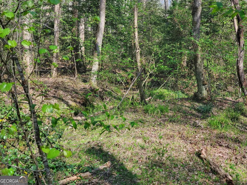 0 Reagan RD Dawsonville, GA 30534