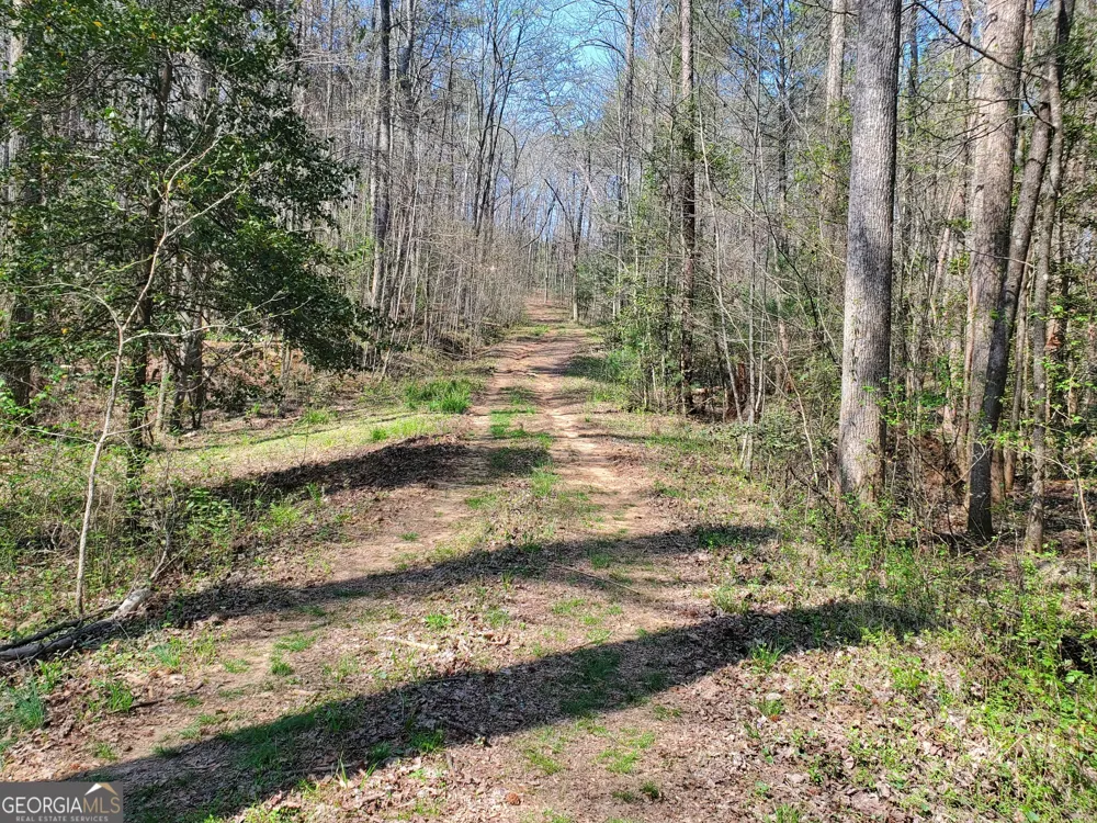 0 Reagan RD Dawsonville, GA 30534
