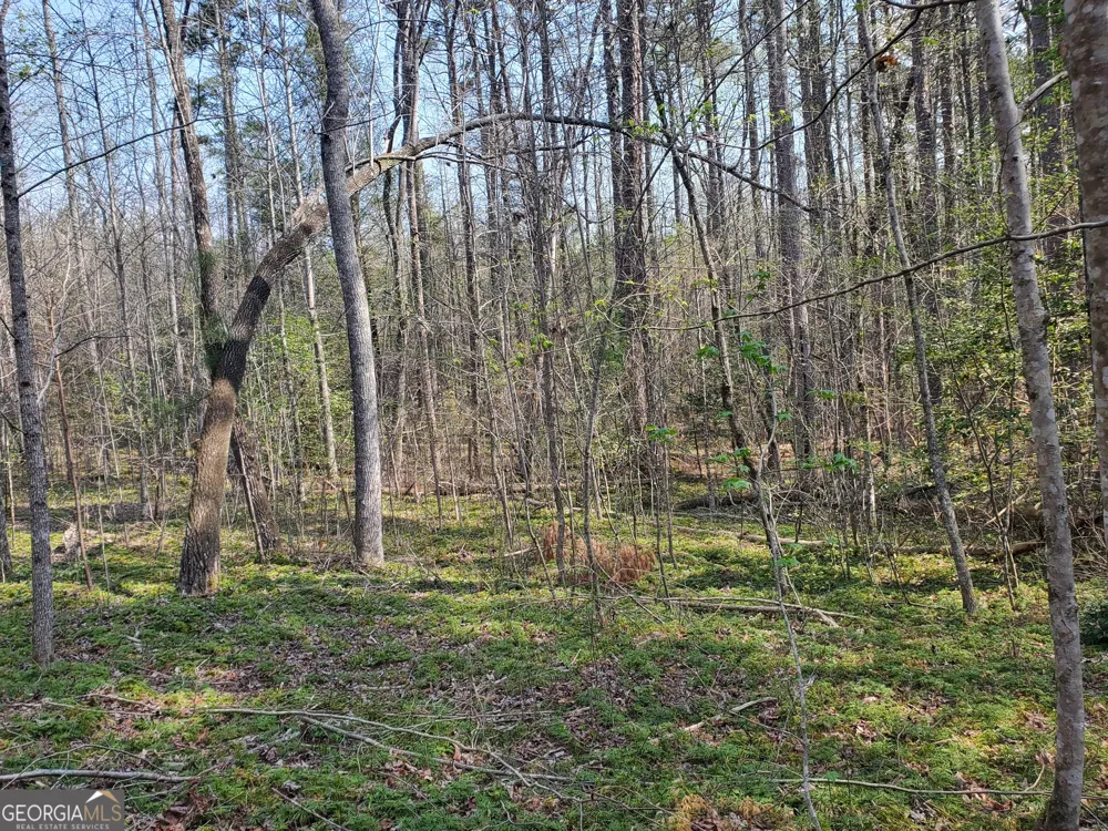 0 Reagan RD Dawsonville, GA 30534