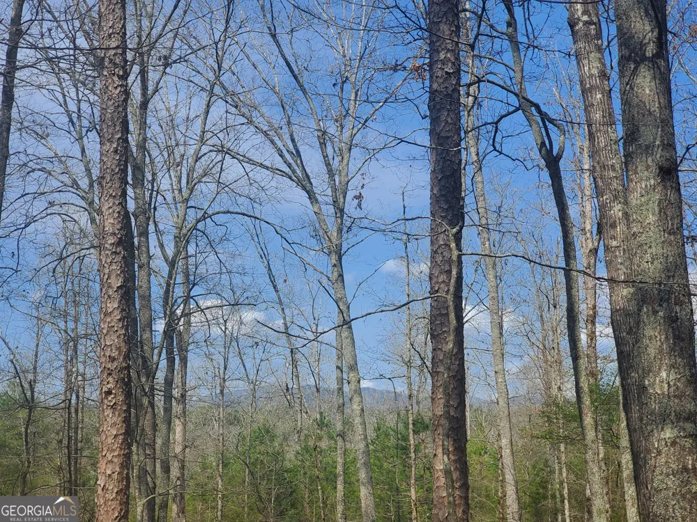 0 Reagan RD Dawsonville, GA 30534