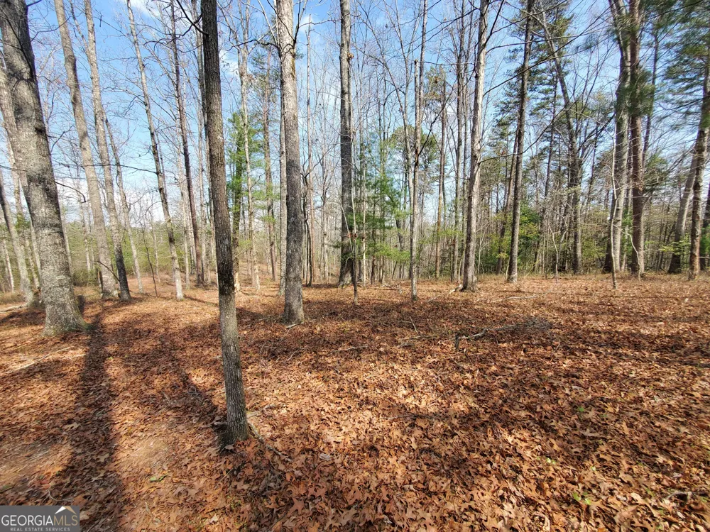 0 Reagan RD Dawsonville, GA 30534