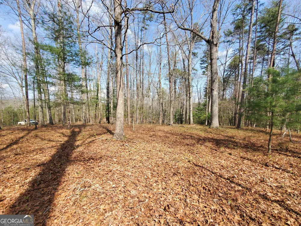 0 Reagan RD Dawsonville, GA 30534