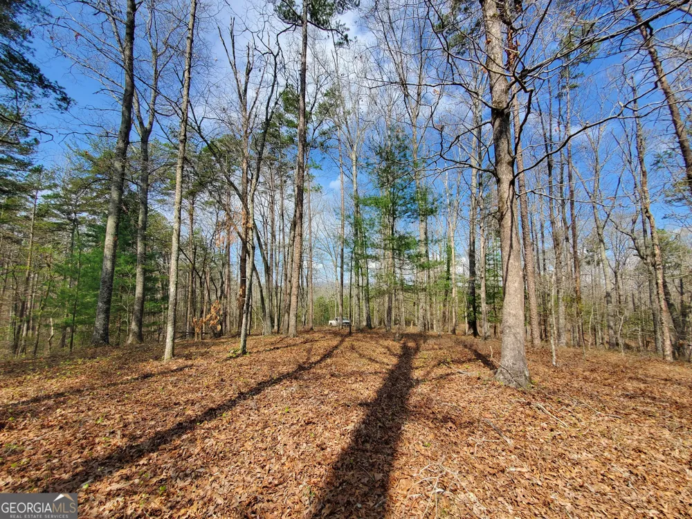 0 Reagan RD Dawsonville, GA 30534