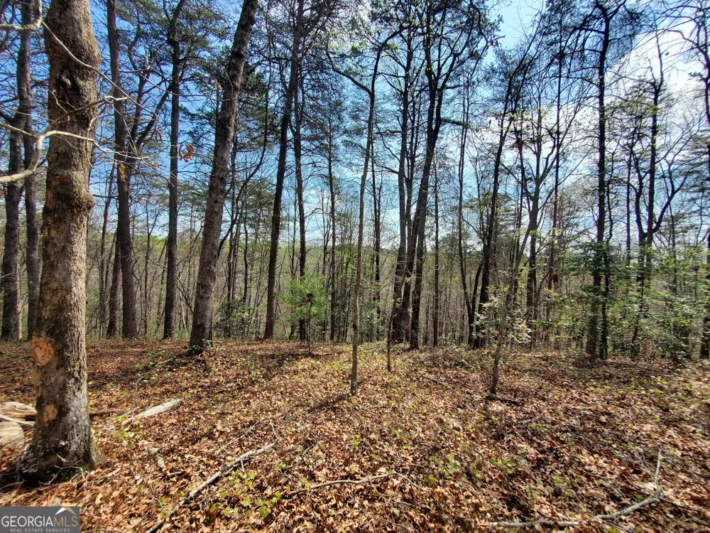 0 Reagan RD Dawsonville, GA 30534