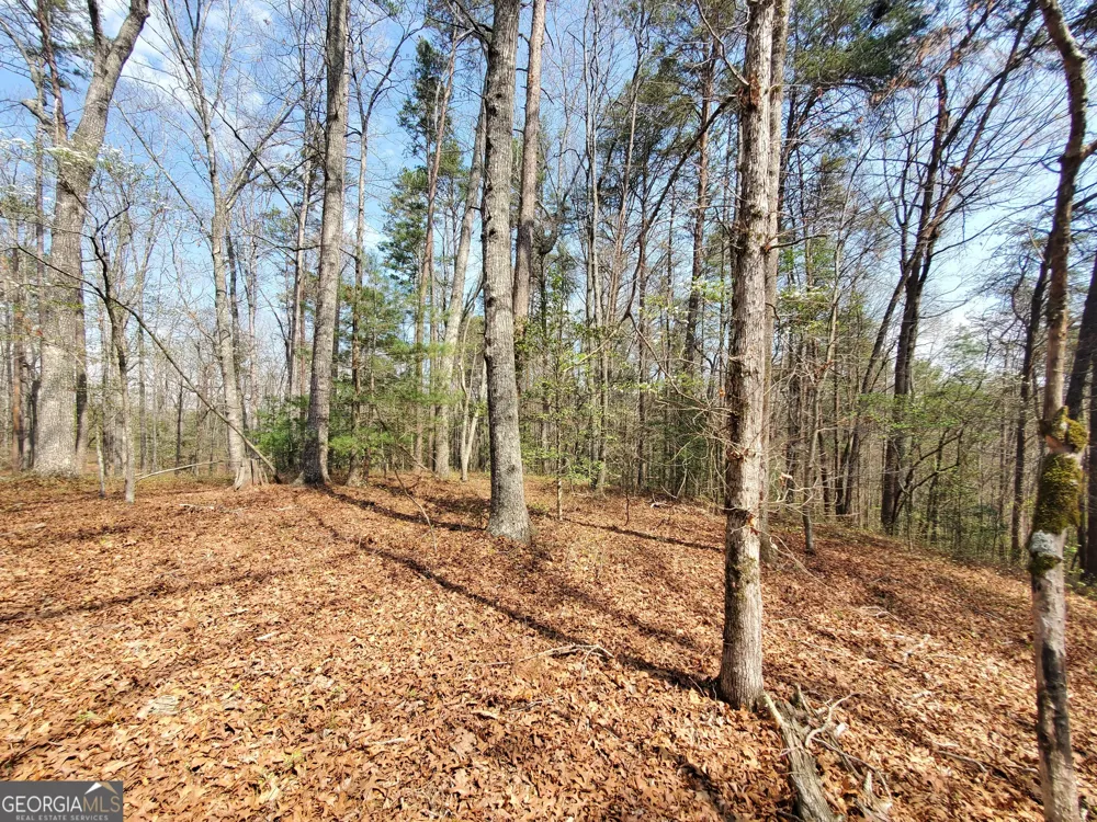 0 Reagan RD Dawsonville, GA 30534