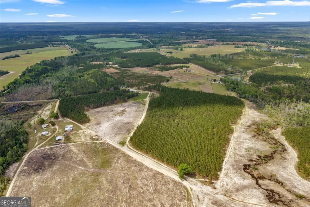 2542 Ga Highway 46 Soperton, GA 30457