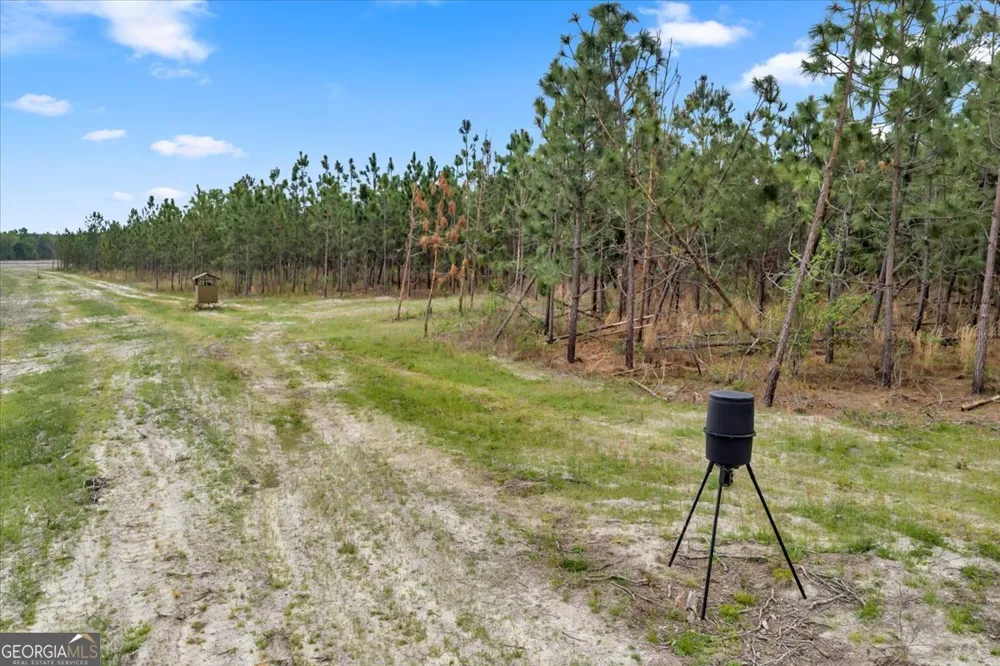 2542 Ga Highway 46 Soperton, GA 30457