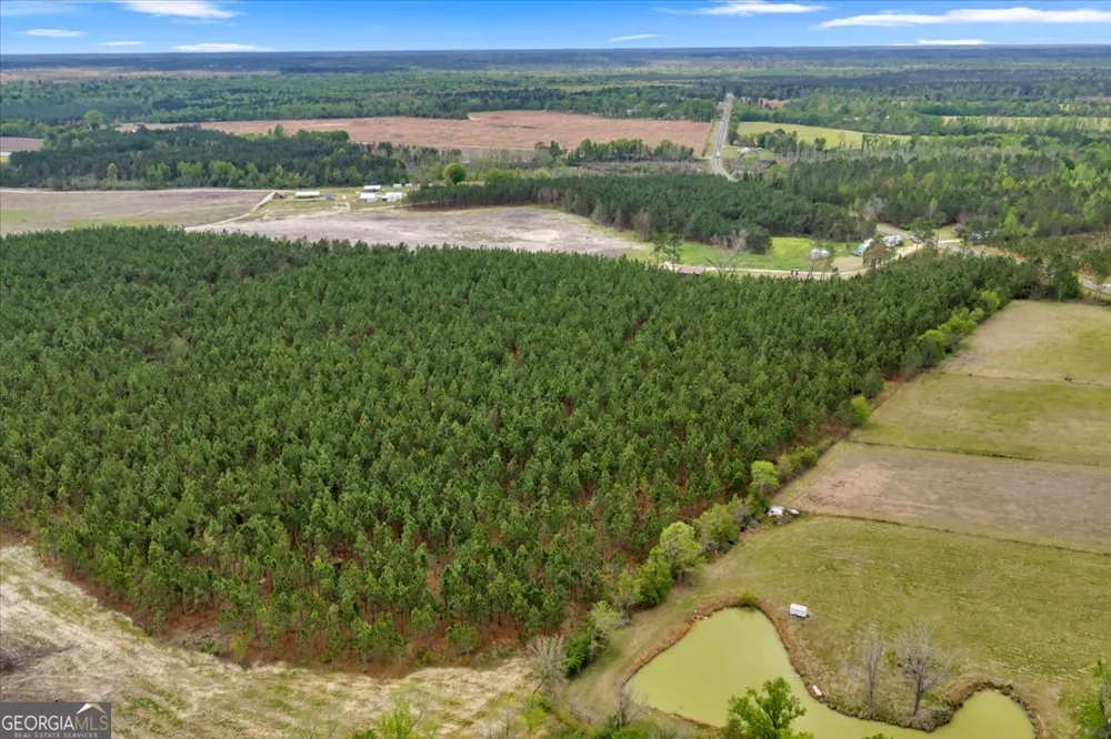 2542 Ga Highway 46 Soperton, GA 30457