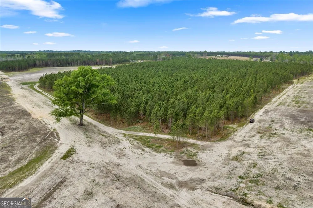 2542 Ga Highway 46 Soperton, GA 30457