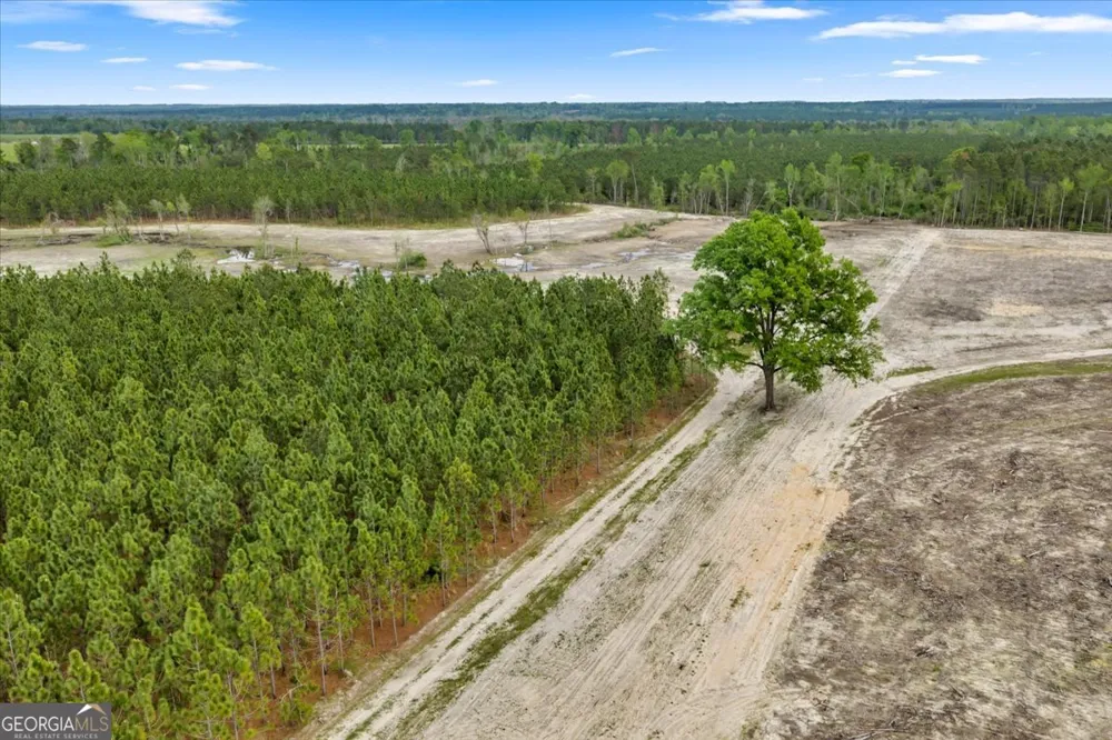 2542 Ga Highway 46 Soperton, GA 30457
