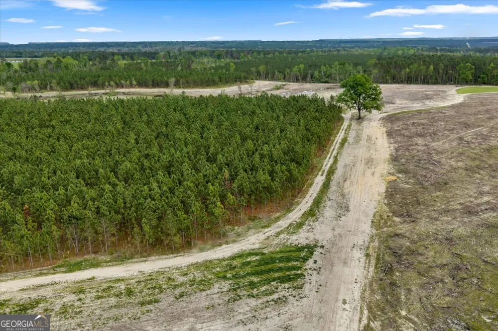 2542 Ga Highway 46 Soperton, GA 30457