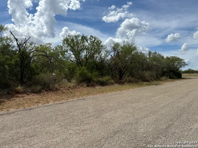 220 County Road 4402 Dilley, TX 78017
