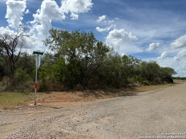 220 County Road 4402 Dilley, TX 78017