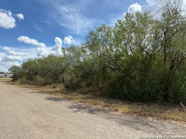 220 County Road 4402 Dilley, TX 78017
