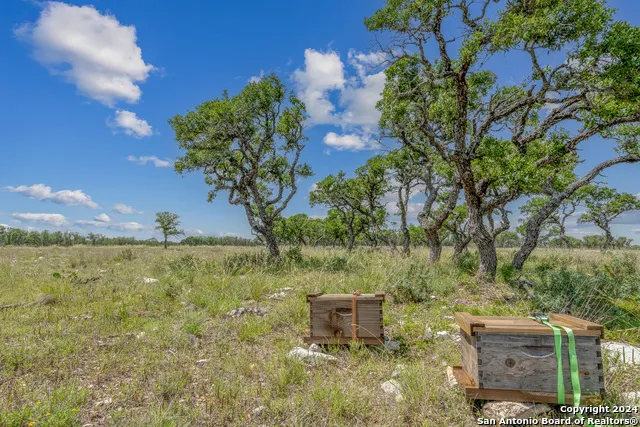 100 Spring Crossing Junction, TX 76849