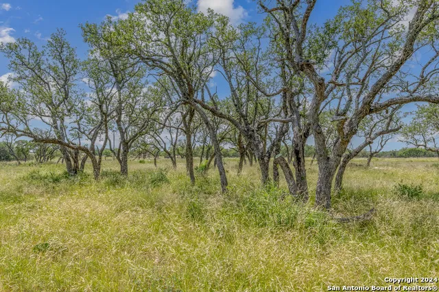 100 Spring Crossing Junction, TX 76849