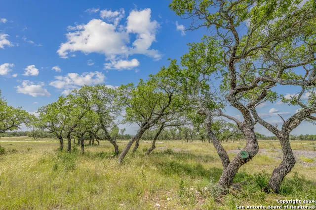 100 Spring Crossing Junction, TX 76849