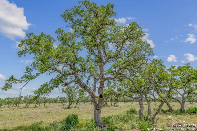 100 Spring Crossing Junction, TX 76849