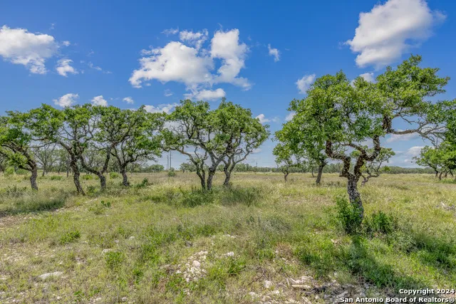 100 Spring Crossing Junction, TX 76849