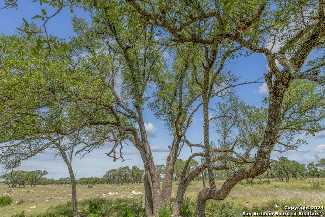100 Spring Crossing Junction, TX 76849