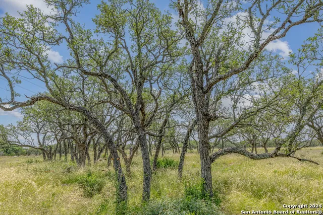 100 Spring Crossing Junction, TX 76849