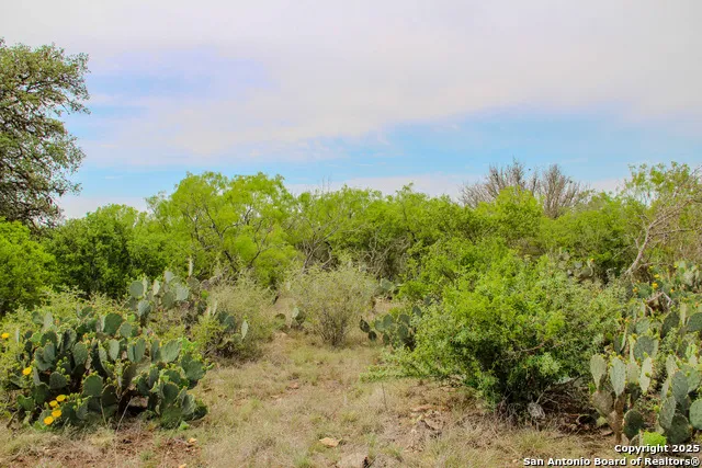 0000 County Road 341 Hondo, TX 78861