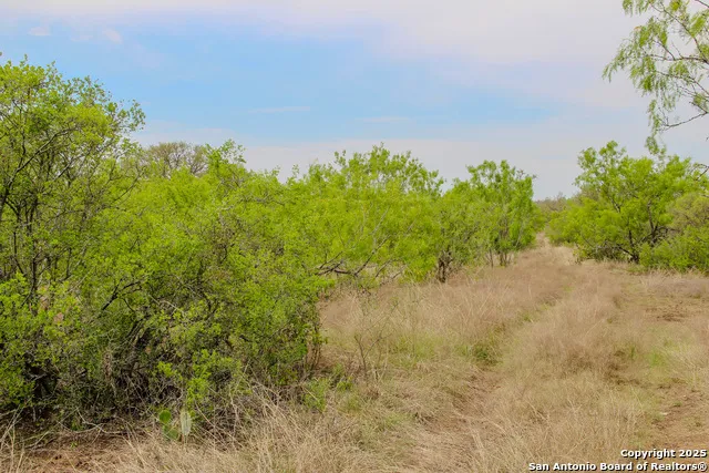0000 County Road 341 Hondo, TX 78861