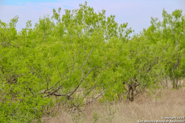 0000 County Road 341 Hondo, TX 78861