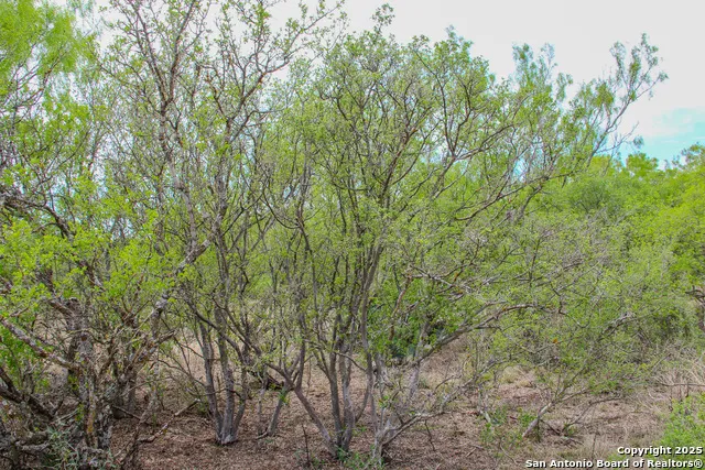 0000 County Road 341 Hondo, TX 78861